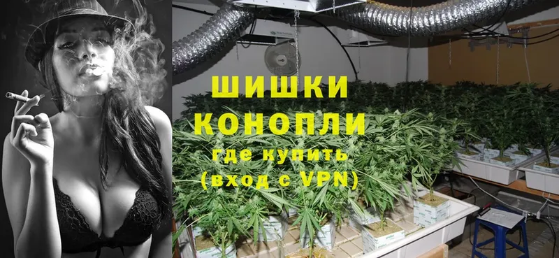 Шишки марихуана THC 21%  продажа наркотиков  mega онион  Кизел 